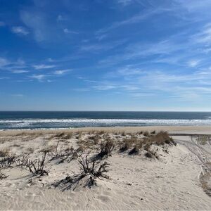 Meet your Posher, Avery